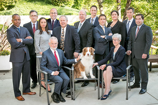 Corporate group&nbsp; image _ Teraoka & Partners